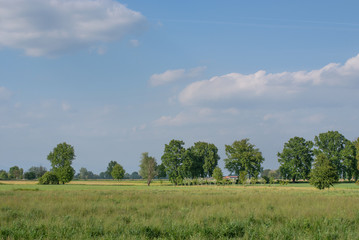 paesaggio di campagna