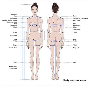 Woman Body Measurement Chart. Scheme For Measurement Human Body For Sewing  Clothes. Female Figure: Front And Back Views. Vector. Royalty Free SVG,  Cliparts, Vectors, and Stock Illustration. Image 97129646.