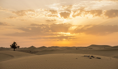 Fototapeta na wymiar The dawn of the sun in the desert