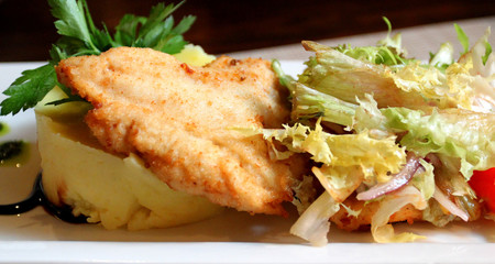 Photo of a delicious chicken schnitze