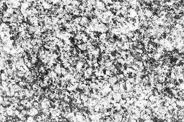 Abstract grainy black and white mineral texture.