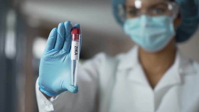 Virologists conducting clinical trial of vaccine based on DNA against Zika virus