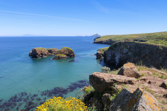 Scorpion Rock, Santa Cruz, Channel Islands National Park