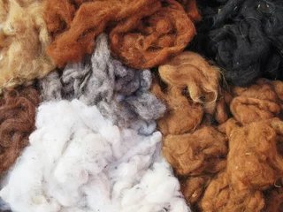 Foto auf Alu-Dibond Natural dyed wool yarn in the peruvian Andes at Cuzco © Aroastock