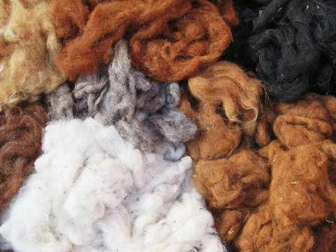 Natural dyed wool yarn in the peruvian Andes at Cuzco