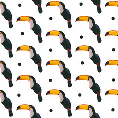 Seamless pattern with toucan and dots on white background