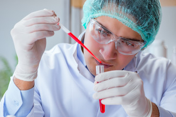 Young doctor working on blood test in lab hospital