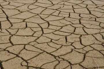 Drought