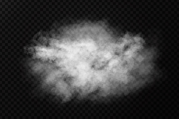 Fototapeta na wymiar Vector realistic isolated smoke effect on the transparent background. Realistic fog or cloud for decoration.