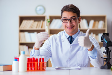 Biotechnology scientist working in the lab