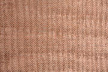 Fototapeta premium Back scraper texture