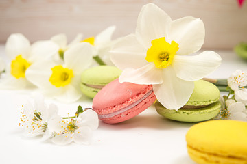 Fototapeta na wymiar Macarons on white background against of narcissus and cherry blossom