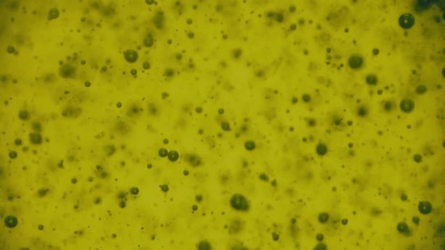Olive oil bubbles floating in bottlee macro slow motion