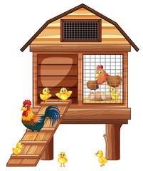 Chicken coop with many chicks © GraphicsRF