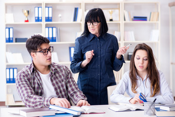 Young student and teacher during tutoring lesson