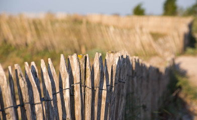 Fototapeta premium Bord de mer