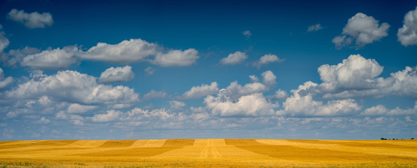Great Plaines Panorama