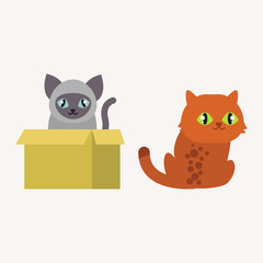 Cute cats character different pose funny animal domestic kitten vector illustration.
