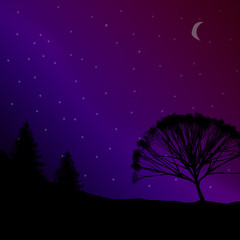 Night time Moon Sky