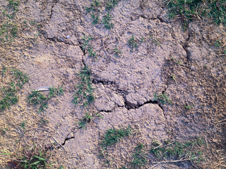 Crack soil on dry season with some grass