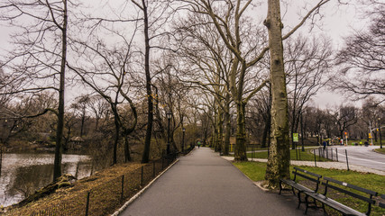 Camino de Central Park