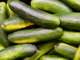 green, cucumbers, on shelf, supermarket