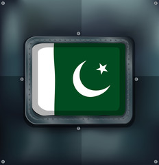 Icon design for flag of Pakistan