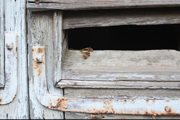 A bouquet of wilted violets on an old wooden window 