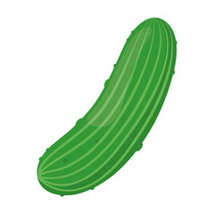 cucumber vegetable icon over white background. vector illustration