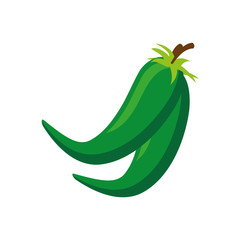 chili vegetable icon over white background. colorful design. vector illustration