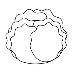 lettuce vegetable icon over white background. vector illustration