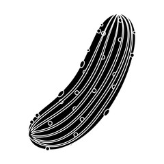 cucumber vegetable icon over white background. vector illustration