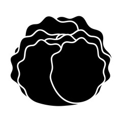 lettuce vegetable icon over white background. vector illustration