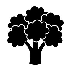 broccoli vegetable icon over white background. vector illustration