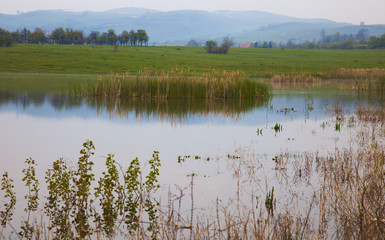 Wetland High in Mountain