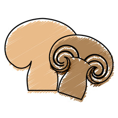 mushroom icon over white background. vector illustration