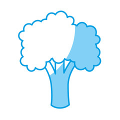 broccoli vegetable icon over white background. vector illustration