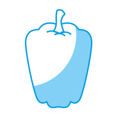pepper vegetable icon over white background. vector illustration