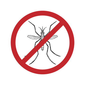 Drawn mosquito in crossed out circle. Vector illustration.