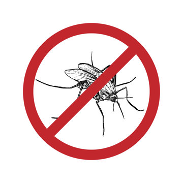 Drawn mosquito in crossed out circle. Vector illustration.