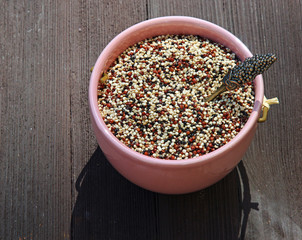 Quinoa seeds