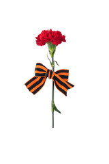 On a red carnation tied with a georgette ribbon, isolated on a white background