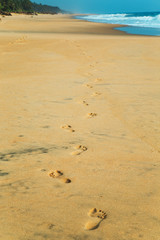 Footprints in the sand on the shores.