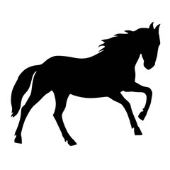 Fototapeta na wymiar Horse black silhouette