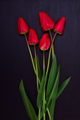 bouquet of red unblown tulips