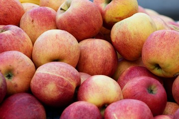 yellow red apples