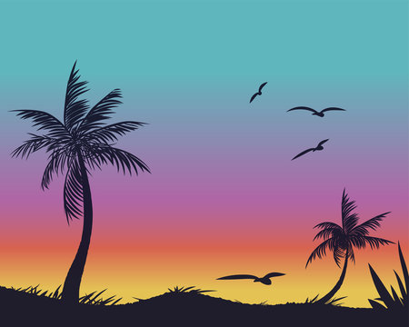 Summer tropical backgrounds set with palms, sky and sunset