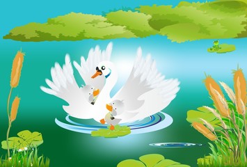 mama i małe łabędzie © klatki