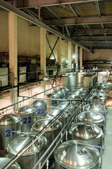 Brewery, beer fermentation workshop.