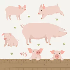 Fotobehang pig animal vector illustration flat design © MINIWIDE